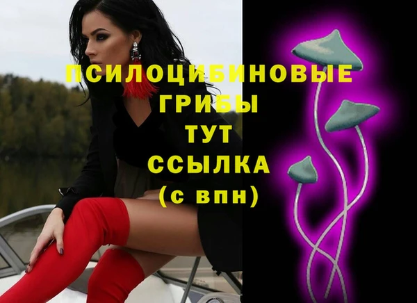 кокс Арсеньев