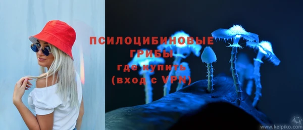 кокс Арсеньев