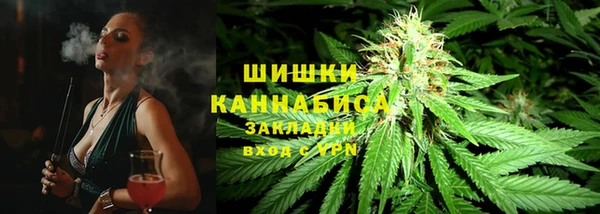 кокс Арсеньев