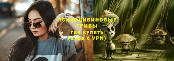 ешки Покачи